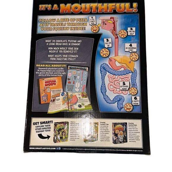 SmartLab Multicolor 29Pcs Educational Squishy Human Body Anatomy Model Kit 12" - Picture 2 of 9